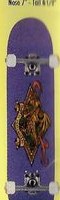 Powell Peralta Diamond Dragon deck in the Cali4nia Skate Express #74 1994