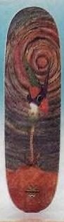 Alien Workshop Hummingbird - Slick deck in the CCS 1992 Winter