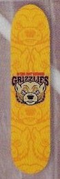 Tree Fort Grizzlies deck in the CCS 1996 Fall
