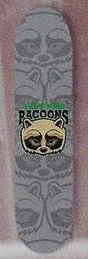 Tree Fort Racoons deck in the CCS 1996 Fall