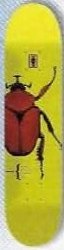 Girl Johnson Bug deck in the CCS 1999 Back To School