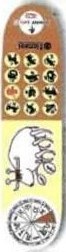 Element Barley Astro deck in the CCS 1999 Spring