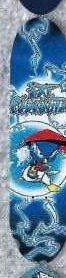 Powell Peralta Ninja deck in the CCS 2000 Spring