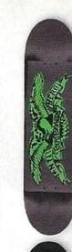 Anti Hero Stencil Point deck in the CCS 2011 Back To School Catalog