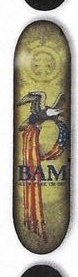 Element Bam Union deck in the CCS 2011 Back To School Catalog