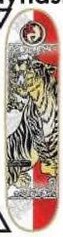 Dynasty Fujimoto Tiger deck in the Eastern Skateboard Supply 1999 2000