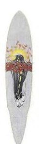 Dregs Asphalt Turf deck in the Eastern Skateboard Supply 2002 Spring Summer