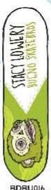 Bueno Lowery Mask deck in the Giant Distribution 2006 Summer Catalog