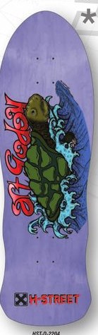 H-Street Godoy Sea Turtle deck in the H Street Brochure 2009 Brochure