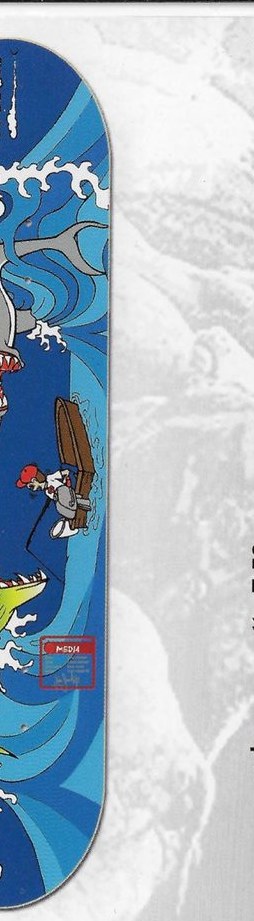 Media Hirata Mutiny deck in the Media Skateboards Spring 2003 Catalog