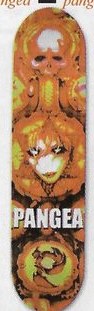Pangea Morph Logo deck in the South Shore Distributing 2004 Fall