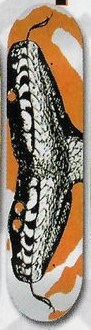 Conspiracy Snakes deck in the South Shore Distributing 2004 Fall