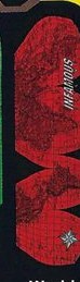 Infamous World Logo deck in the South Shore Distributing 1998