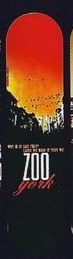 Zoo York "Why Is It Like That" deck in the South Shore Distributing 1998