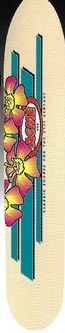 Acme BigGun Logo deck in the South Shore Distributing 1999 Fall
