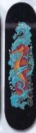 Lib-Tech Sea Horse deck in the South Shore Distribution 2003 Summer