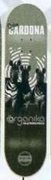 Organika Cardona Zebras deck in the South Shore Distribution 2003 Summer