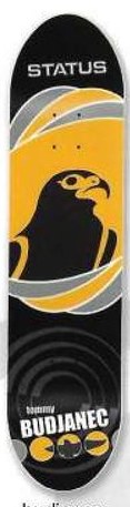 Status Budjanec Falcon deck in the Syndrome Distribution 2003 Fall