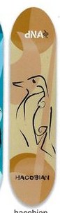 dNA Hacobian Abstract deck in the Syndrome Distribution 2004 Spring