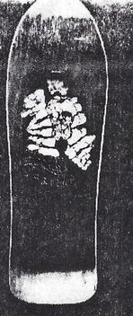 Zorlac Detter Ramp deck in the Zorlac Catalog 1991