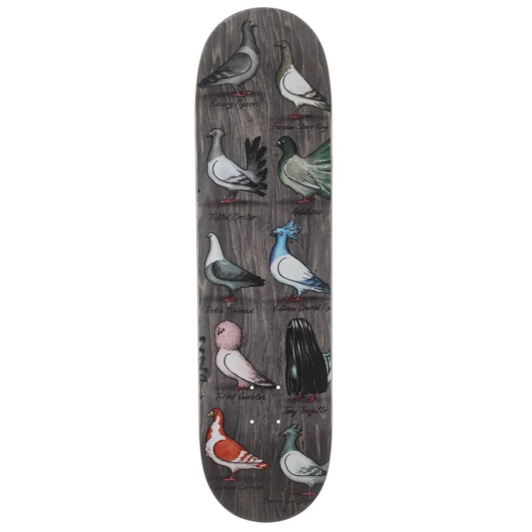 Anti Hero Tony Trujillo Show Pigeons deck