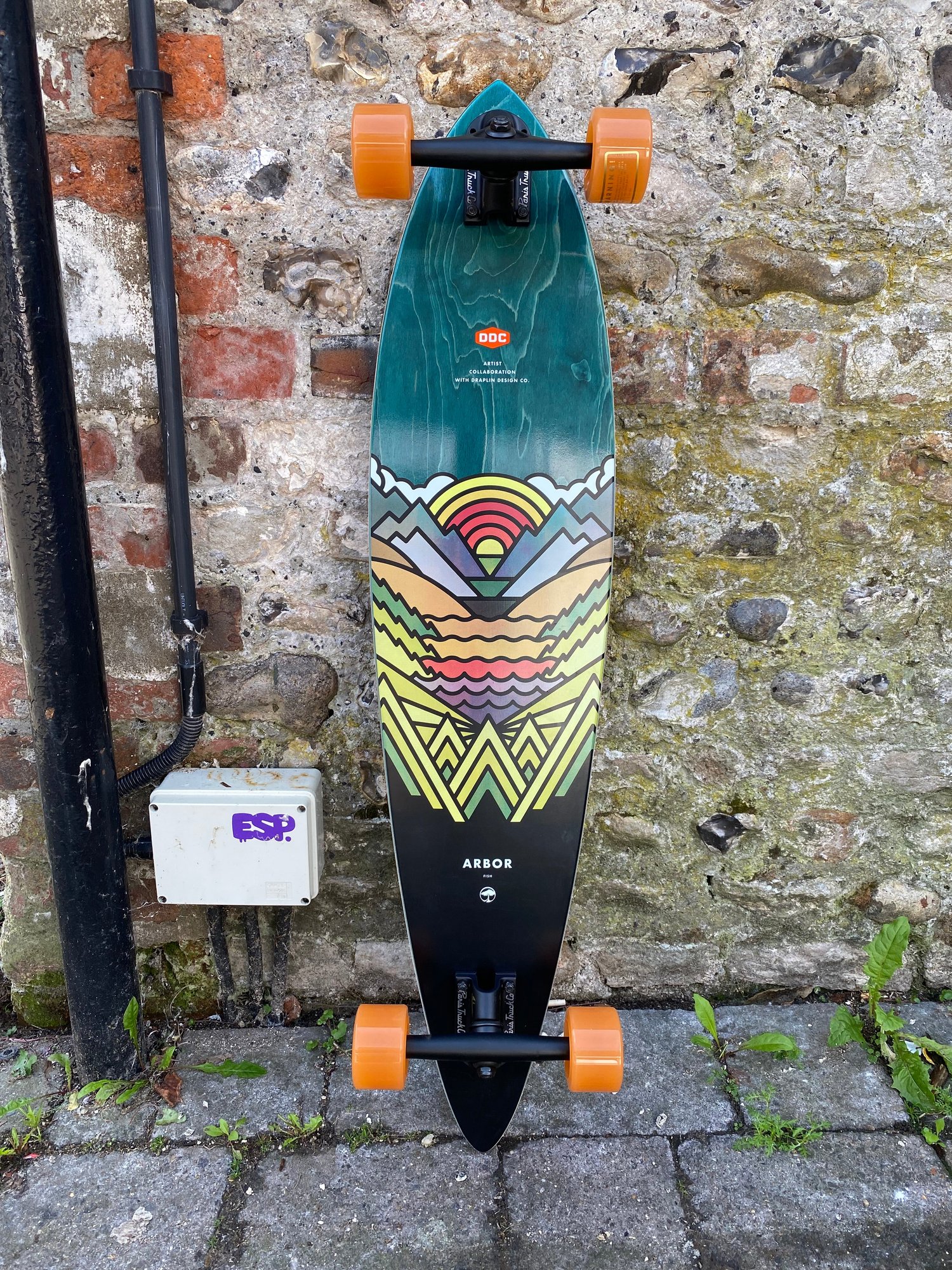 Arbor Artist Fish Longboard deck