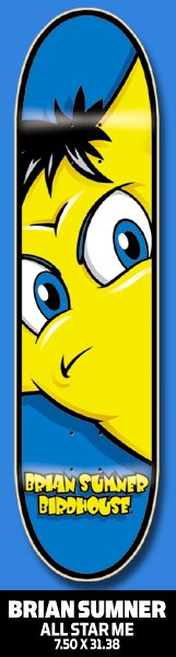Birdhouse All Star deck