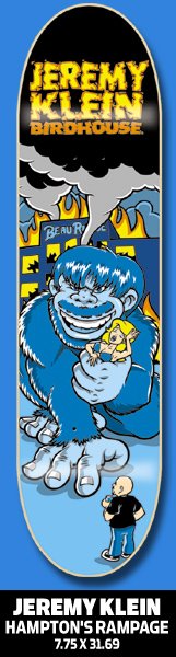 Birdhouse Hamptons Rampage deck