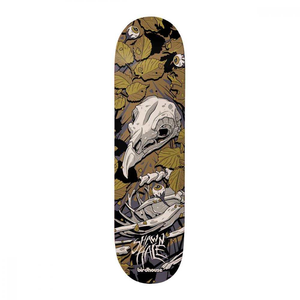 Birdhouse Pro Shawn Hale Tillbrook deck