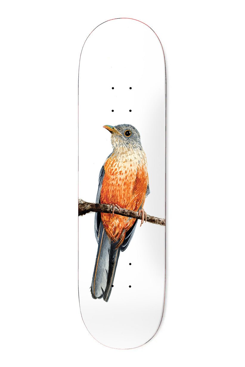 Deathwish Yuri Facchini Sabia-Laranjeira deck