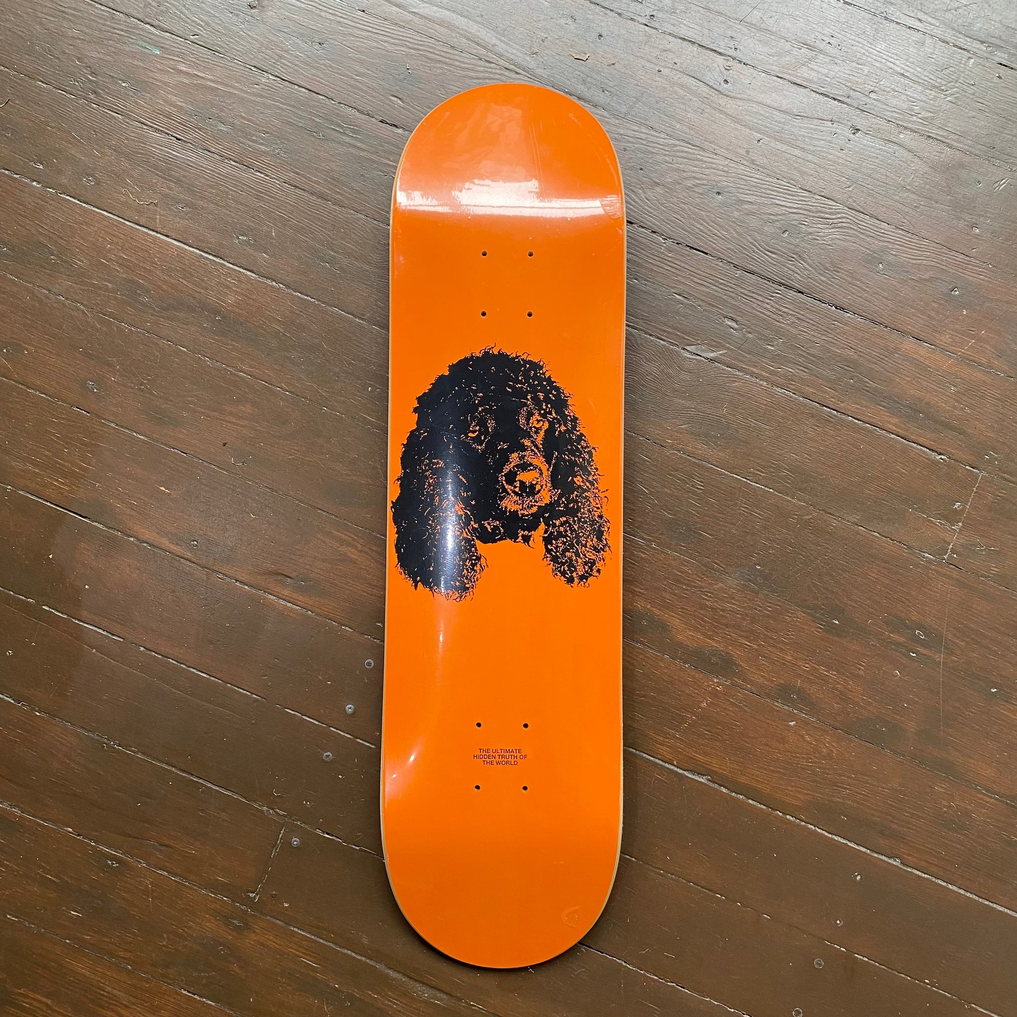 Garden Laurel - (Medium Concave) deck