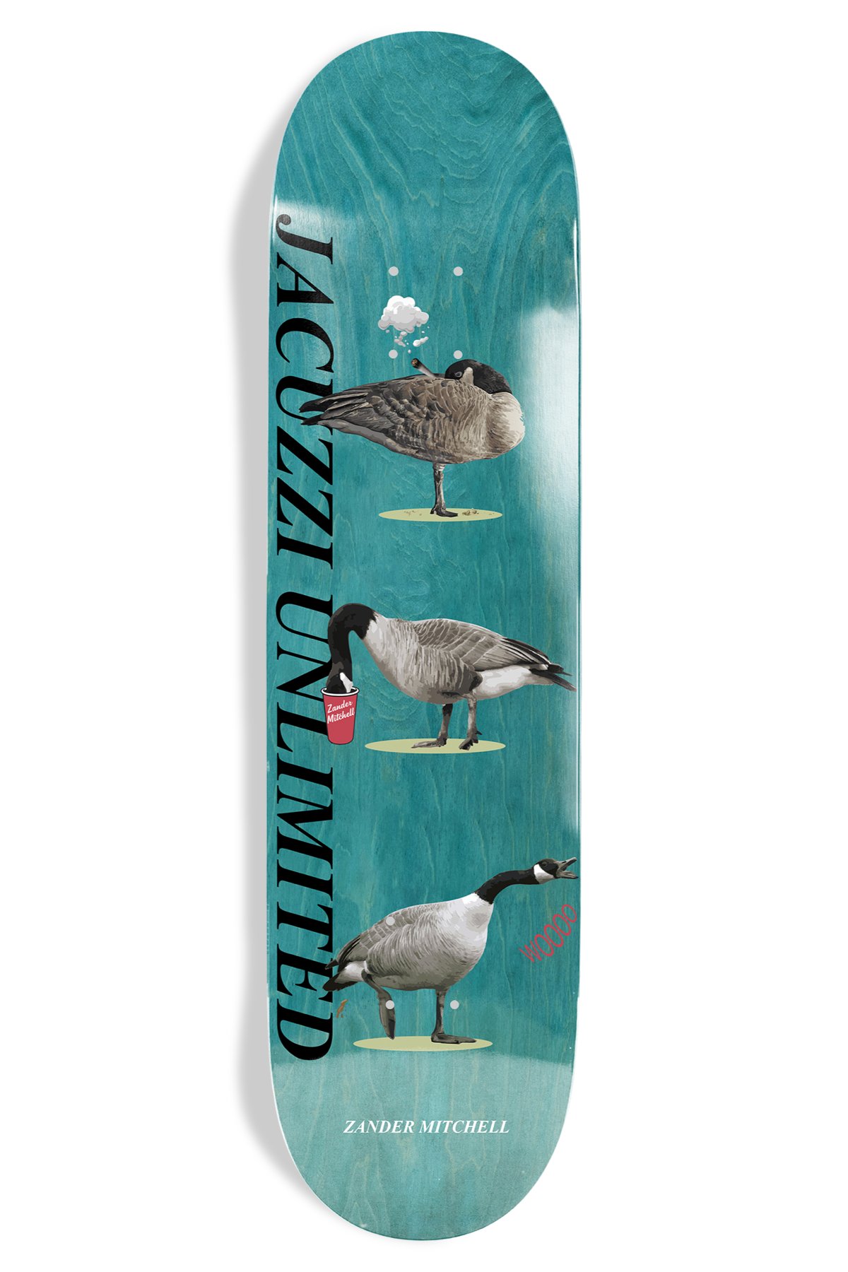 Jacuzzi Zander Mitchell Geese EX7 deck