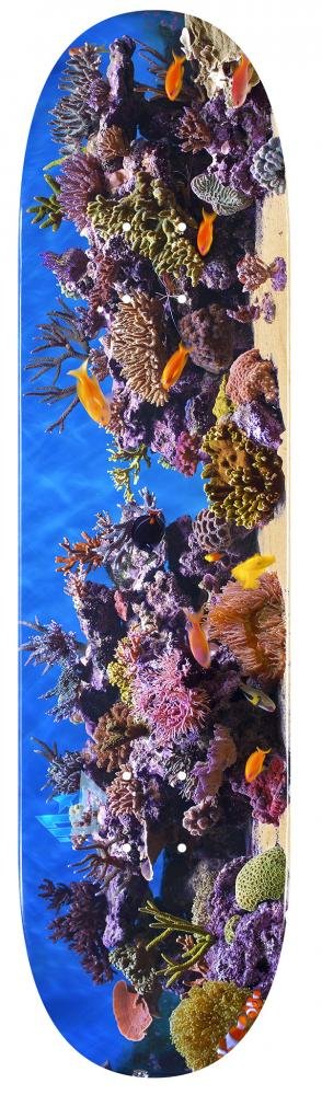 Mini Logo Fish Tank Mini deck