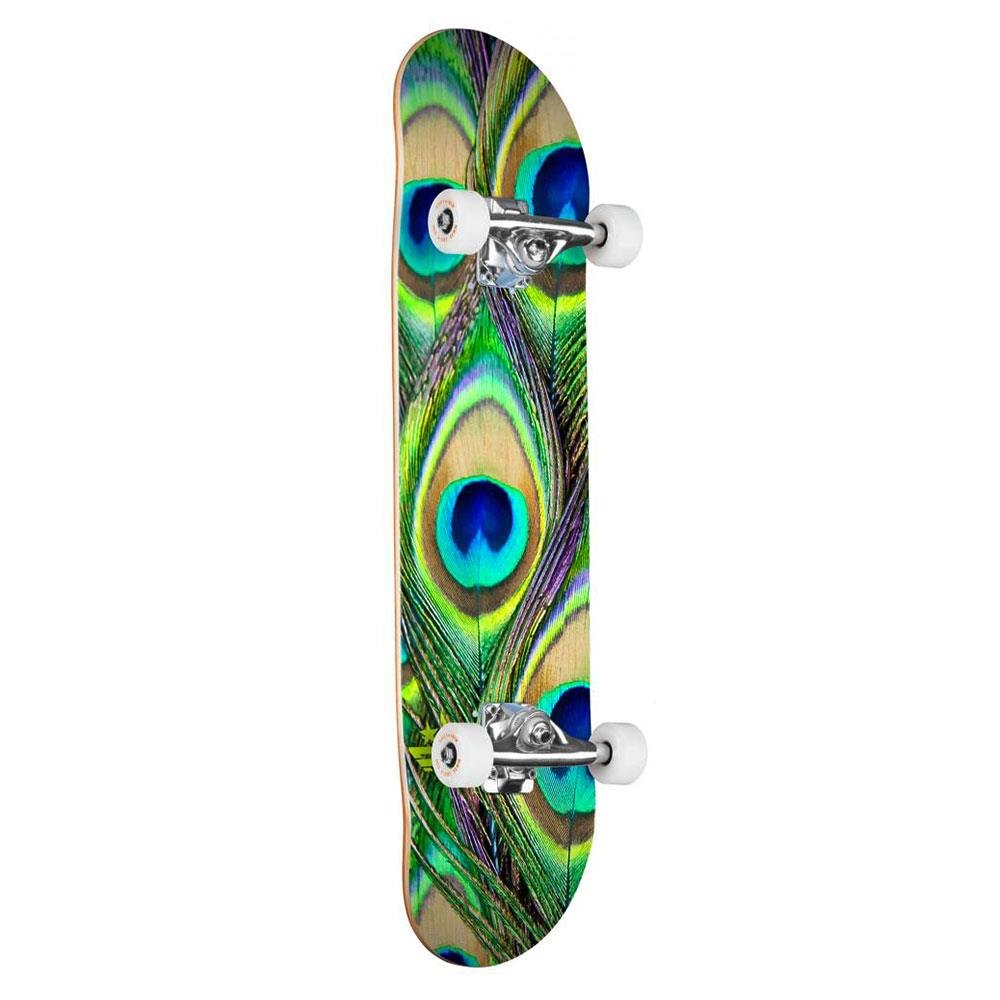 Mini Logo Peacock Feather 291 Multi deck