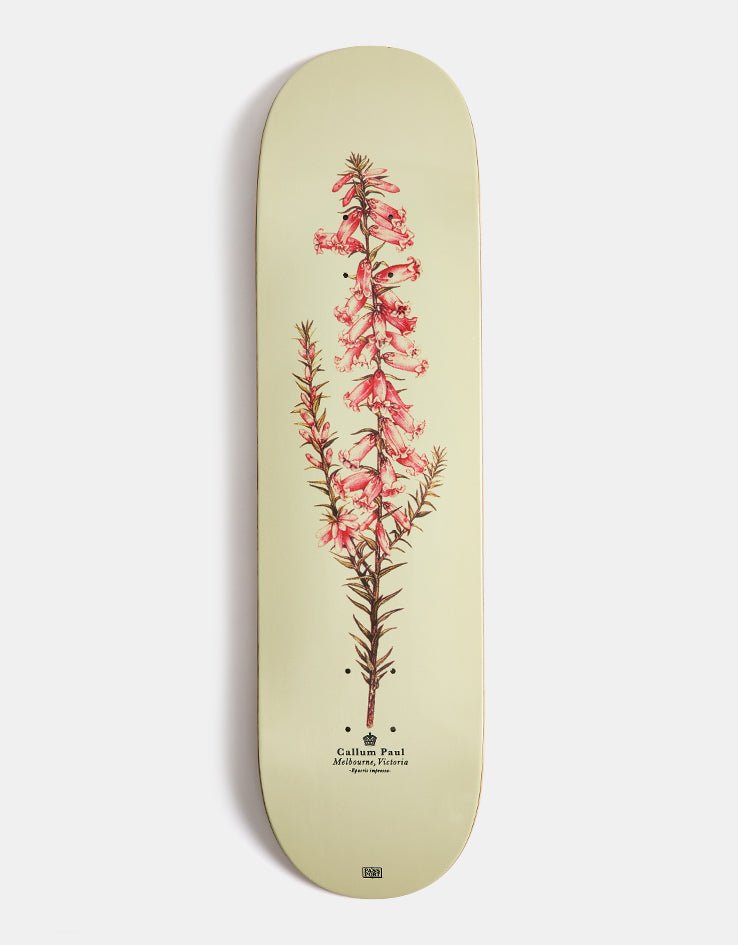 Passport Callum Pink Heath deck