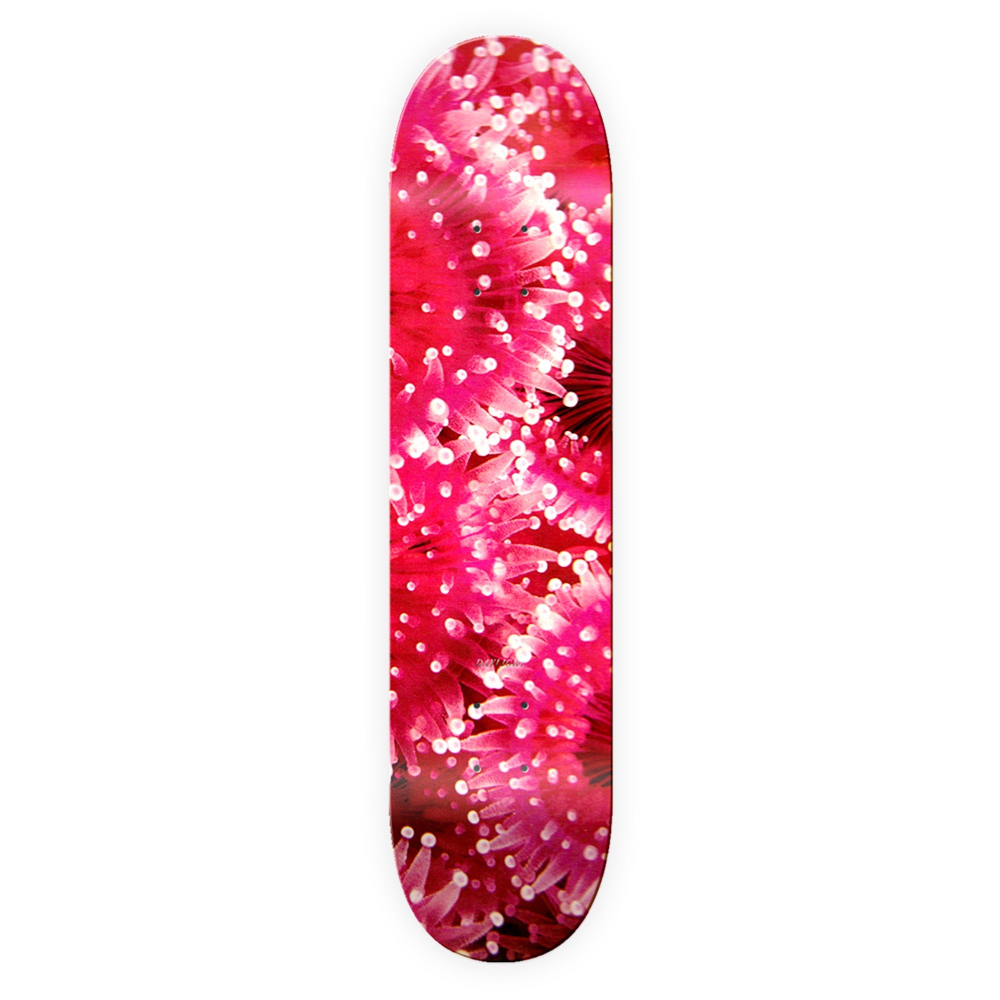 Passport Daylight Jewel deck