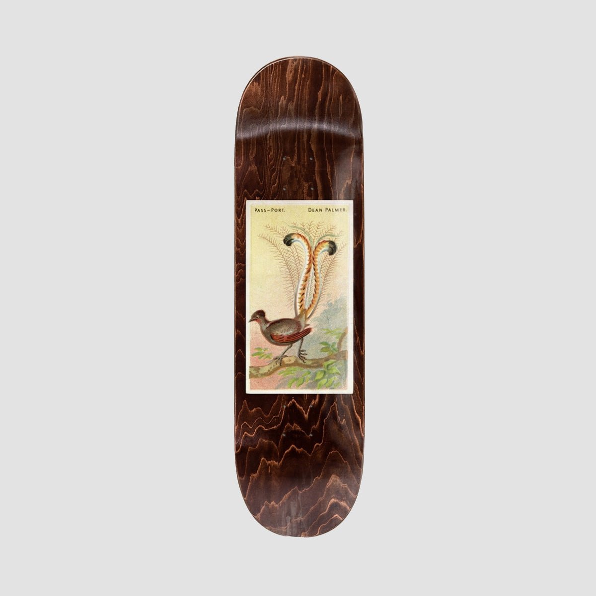 Passport Pro Series Dean Lyrebird deck
