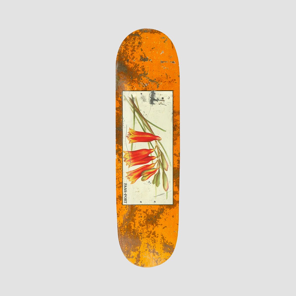 Passport Tin Floral Series Bells Yellow deck
