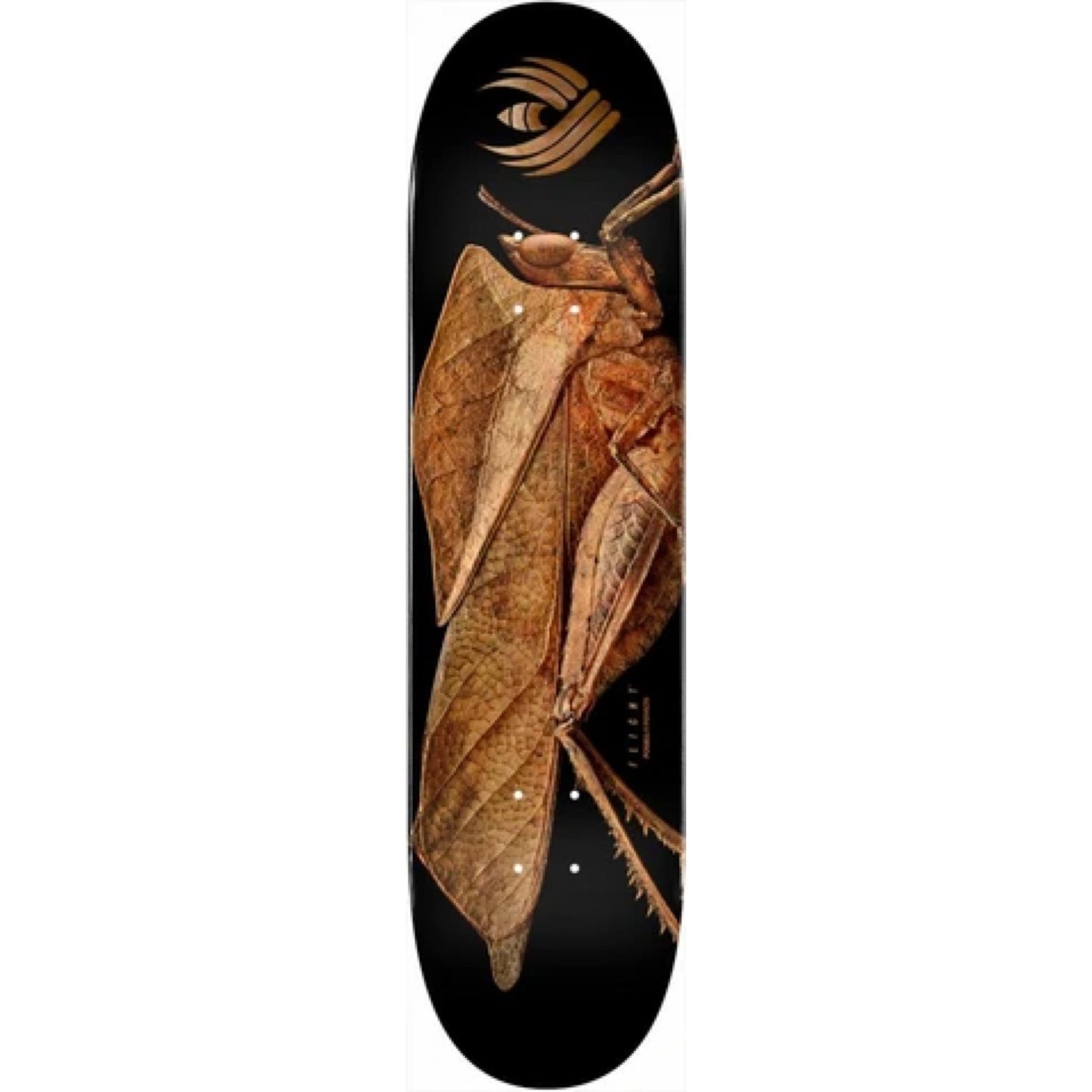 Powell Peralta LB Dead Leaf Grasshopper 249 deck