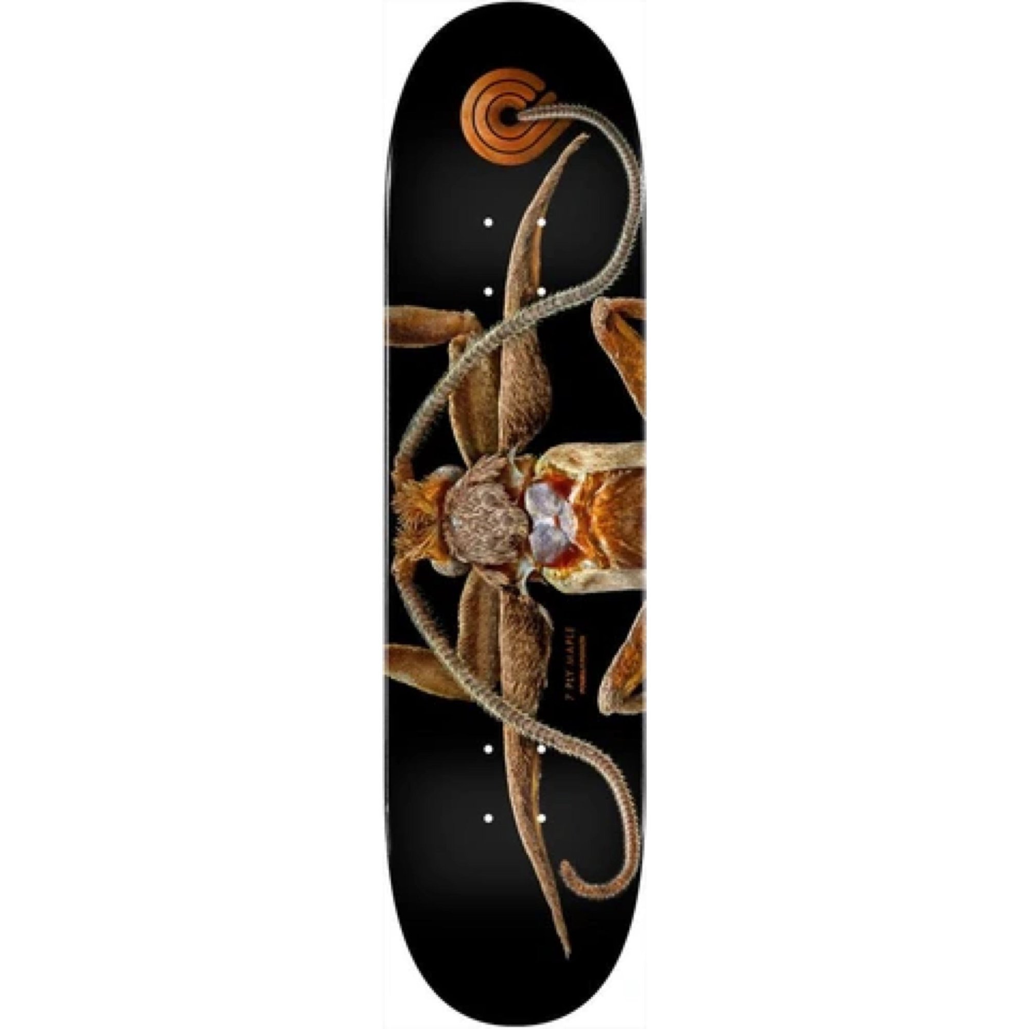 Powell Peralta LB Marion Flightless Moth 243 deck