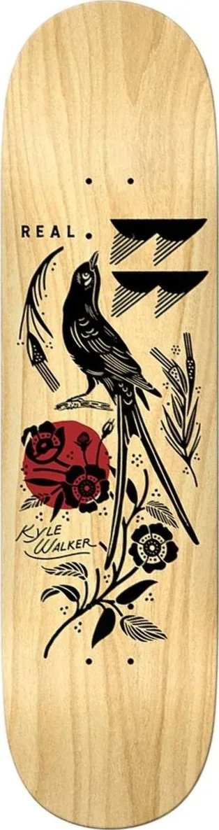 Real Kyle Mudgett deck