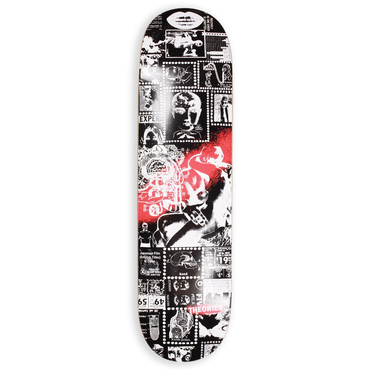 Theories Anatomy deck