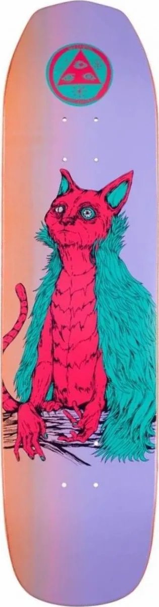 Welcome Owlcat on Vimana deck