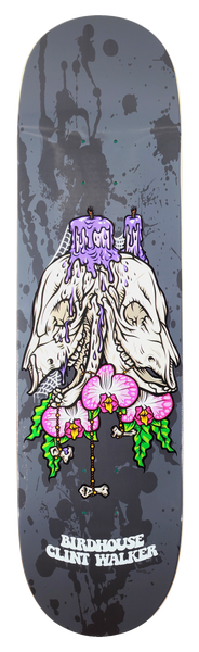 Birdhouse Clint Walker Shrine skateboard deck: Two animal skulls with purple melting candles on top, covered in cobwebs and pink orchids, with a dangling bone rosary, on a grey splattered deck. Brand and rider name at the bottom.