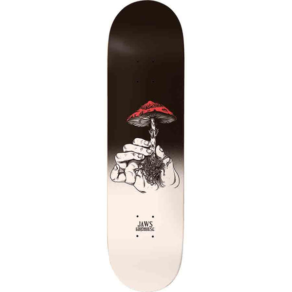 Birdhouse Jaws Mushroom 8.25 skateboard deck: Two hands hold up a red-capped mushroom with trailing roots, drawn in black line work on a deck fading from black at the nose to cream at the tail. Jaws and Birchouse text near the tail.