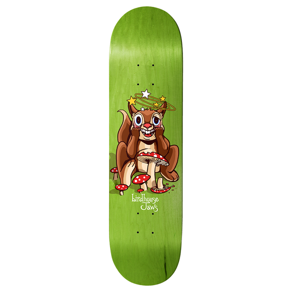 Birdhouse Jaws Squirrel 8.25 skateboard deck: A dizzy cartoon squirrel with wide eyes and bared teeth sits among red toadstools, stars circling its head, on a green stained deck with 'Birdhouse Jaws' in white script.