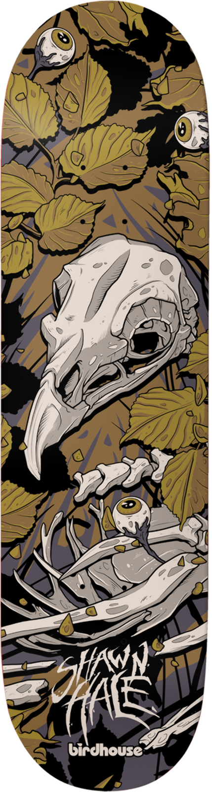 Birdhouse Hale Tillbook skateboard deck: Illustration of a bird skull and ribcage among olive-brown leaves with floating eyeballs, drawn in a comic style on a muted brown background. Hand-lettered 'Shawn Hale' and Birdhouse logo at the bottom.