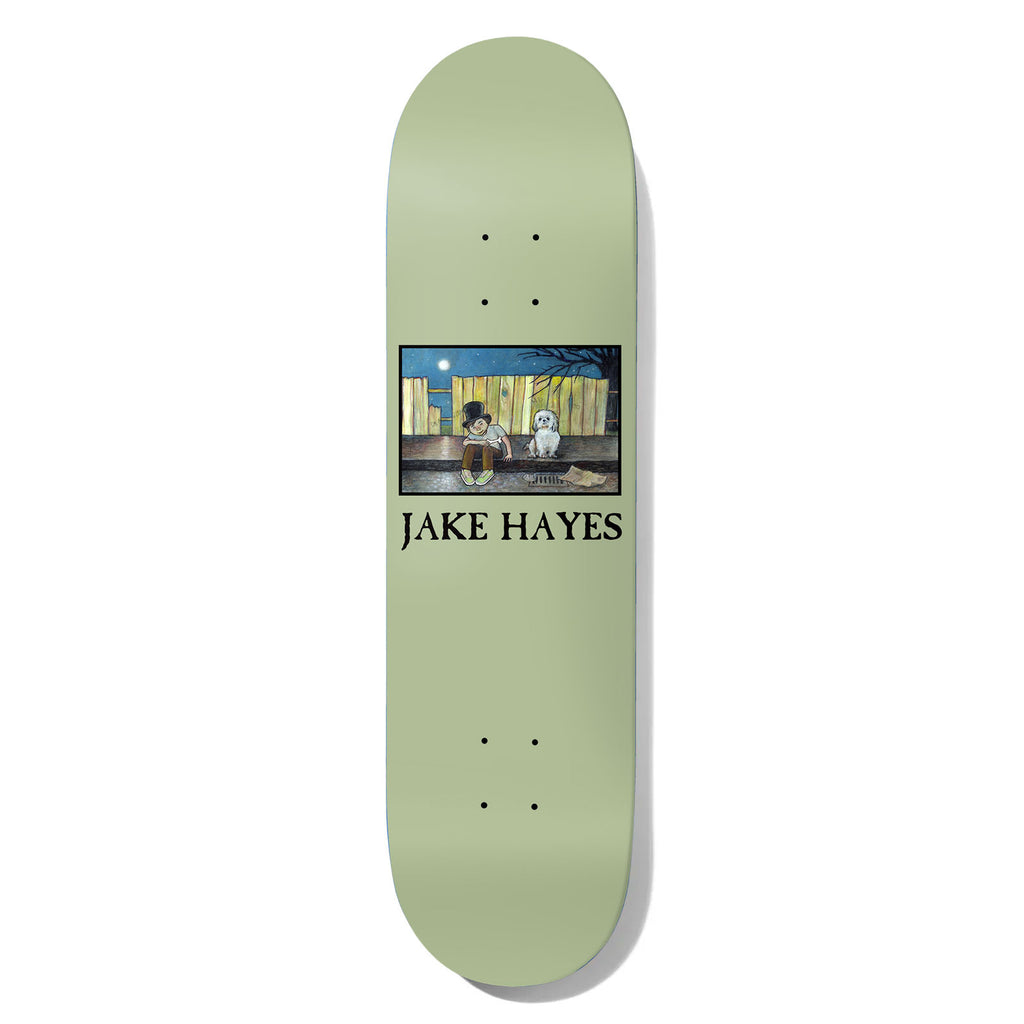 Deathwish Hayes Moonshadow 8.25 skateboard deck: Painted night scene in a framed rectangle showing a boy in a top hat sitting on a kerb beside a small white dog in front of a wooden fence under the moon, with the rider's name below in black serif capitals.