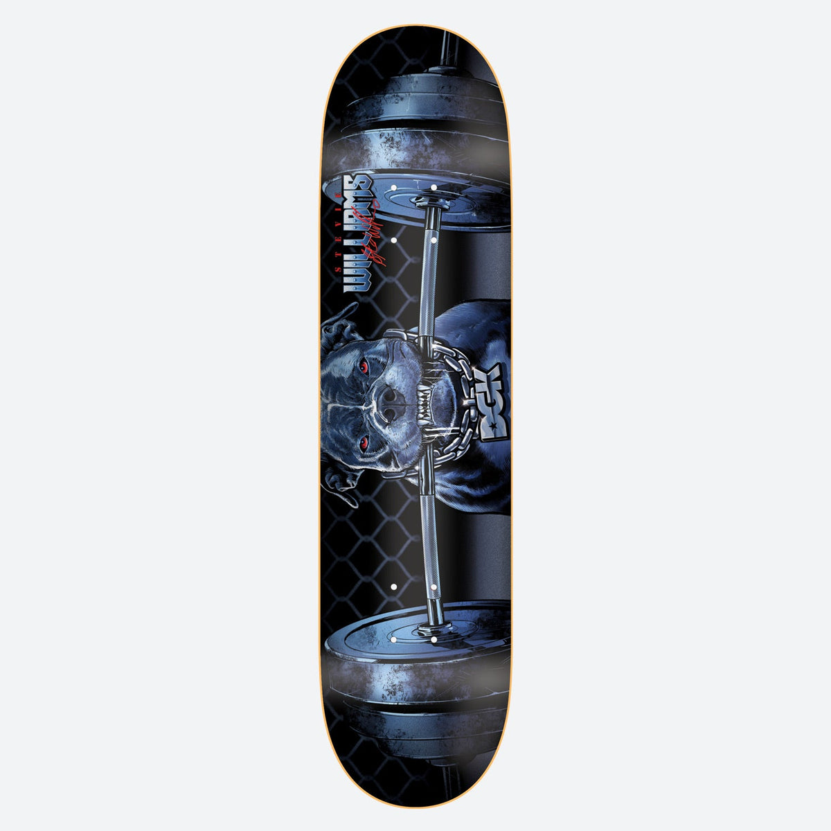 DGK Caged Stevie 8.06 skateboard deck: Snarling pit bull with red eyes and a chain in its jaws, clamped onto a heavy barbell, in front of chain-link fencing. Rider name in vertical lettering at top left.