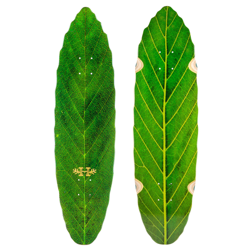 Habitat Leaf Lines Green 8.75 skateboard deck: Two views of a leaf-shaped cruiser deck, covered edge to edge in a macro photograph of a green leaf with fine veins. A small gold Habitat logo sits near the tail on the top.